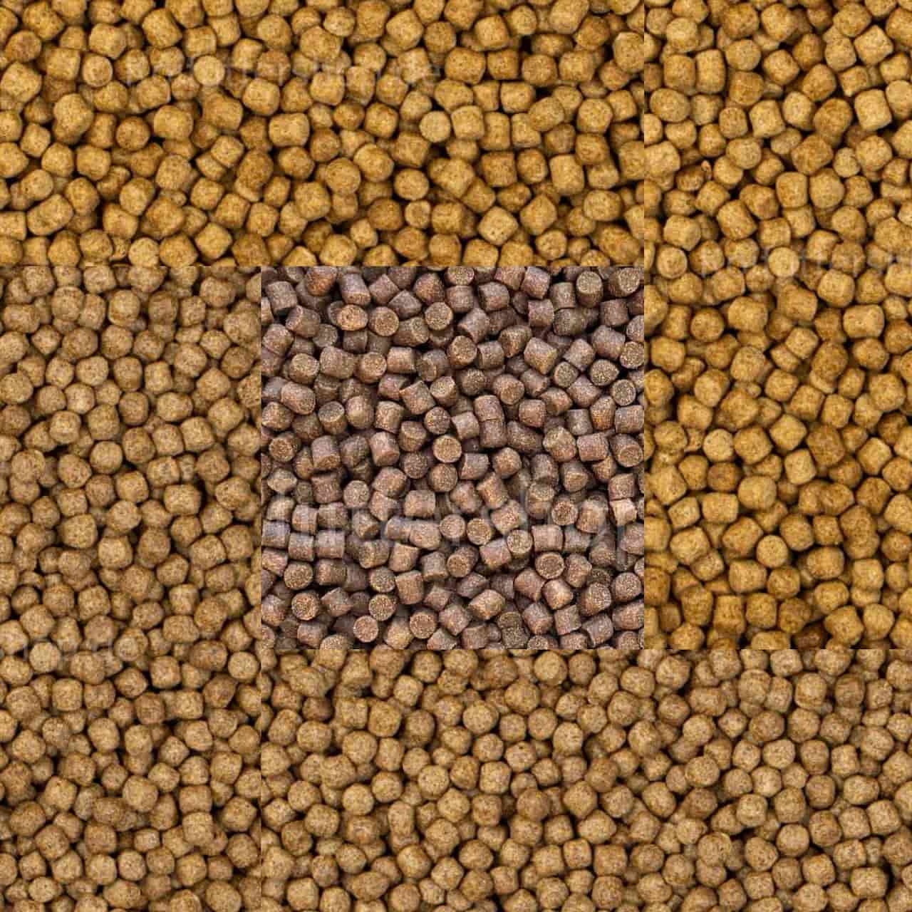 Atama Koifutter Frühjahr-Set